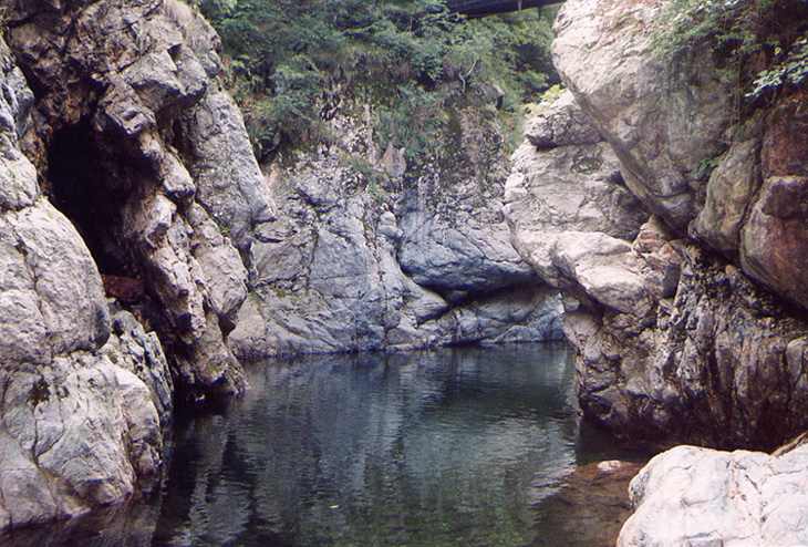 torrente cervo